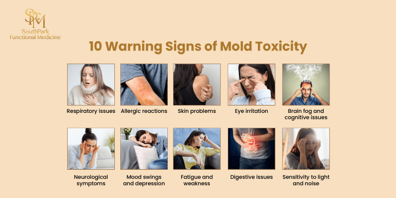 10 warning signs of mold toxicity